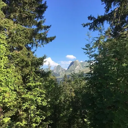 Guggershoernliblick Guggisberg